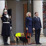 Europe’s New Nuclear Stance: Defiant France Says ‘Non Merci’ to UK Shield