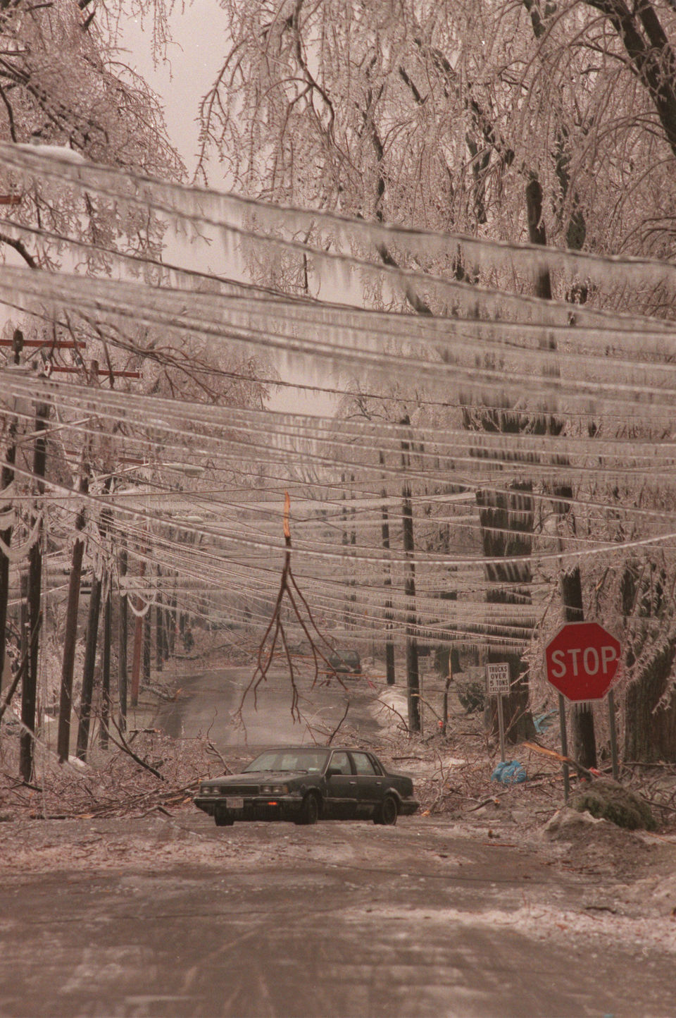 Watertown’s Disaster Waiting to Happen: The Hidden Danger of Trees and Power Lines